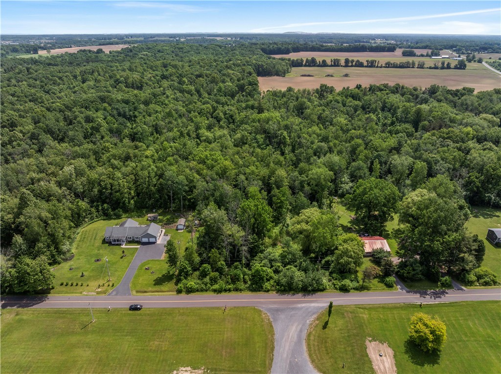 0 Blue Sky Road Waterloo, NY 13165 - Photo 6 of 10