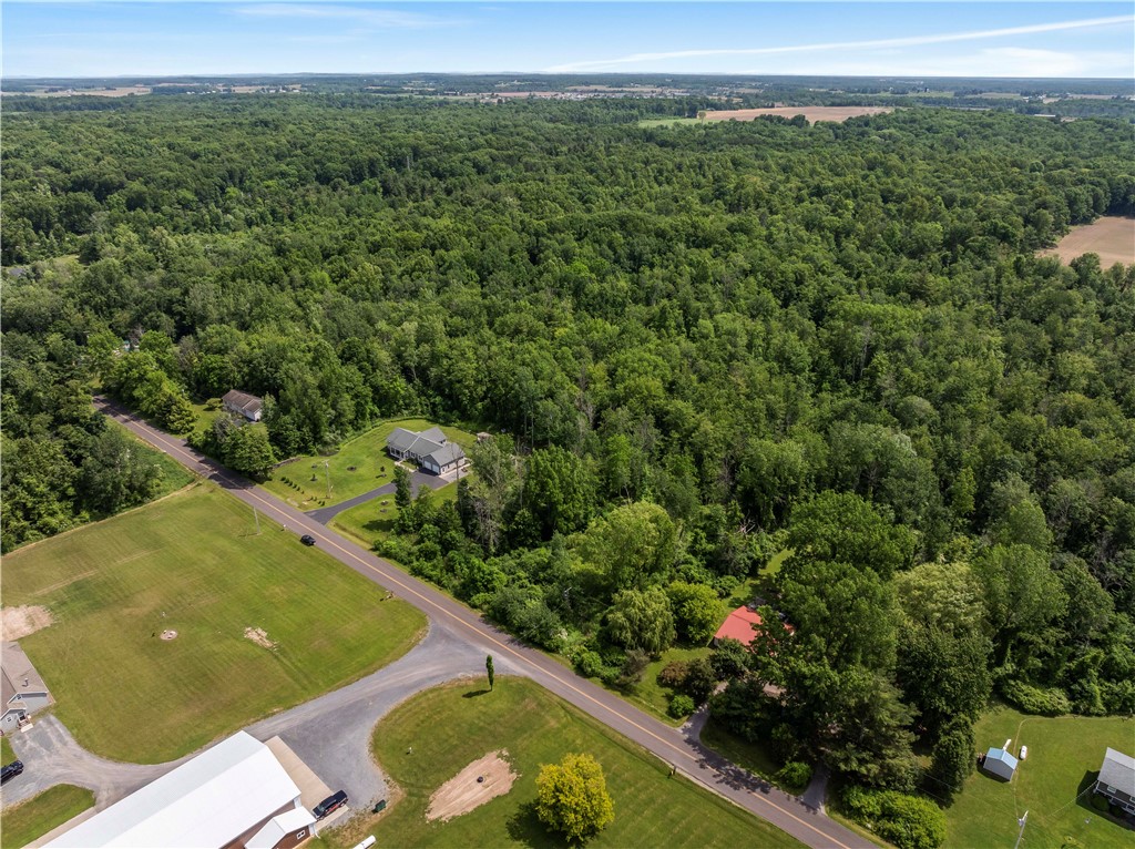 0 Blue Sky Road Waterloo, NY 13165 - Photo 7 of 10