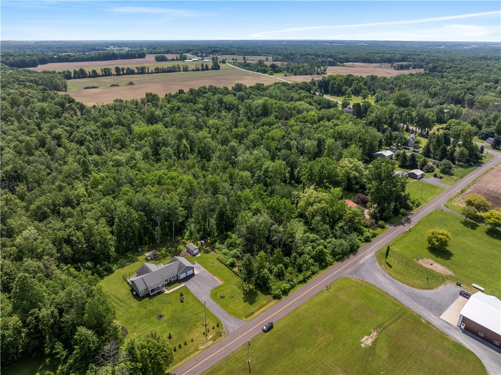 0 Blue Sky Road Waterloo, NY 13165 - Photo 8 of 10