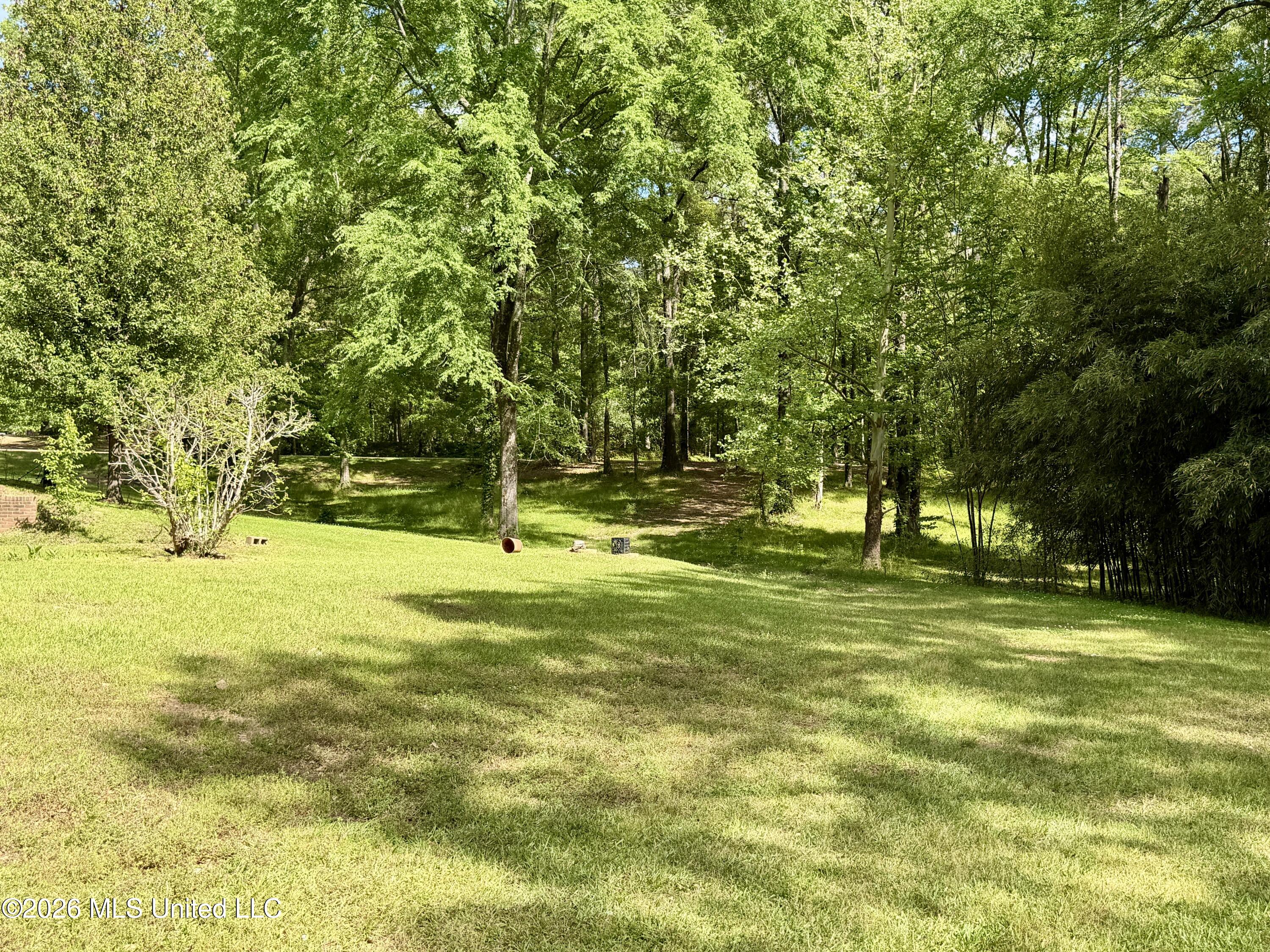215 Trace Circle Raymond, MS 39154 - Photo 43 of 48 IMG_2448
