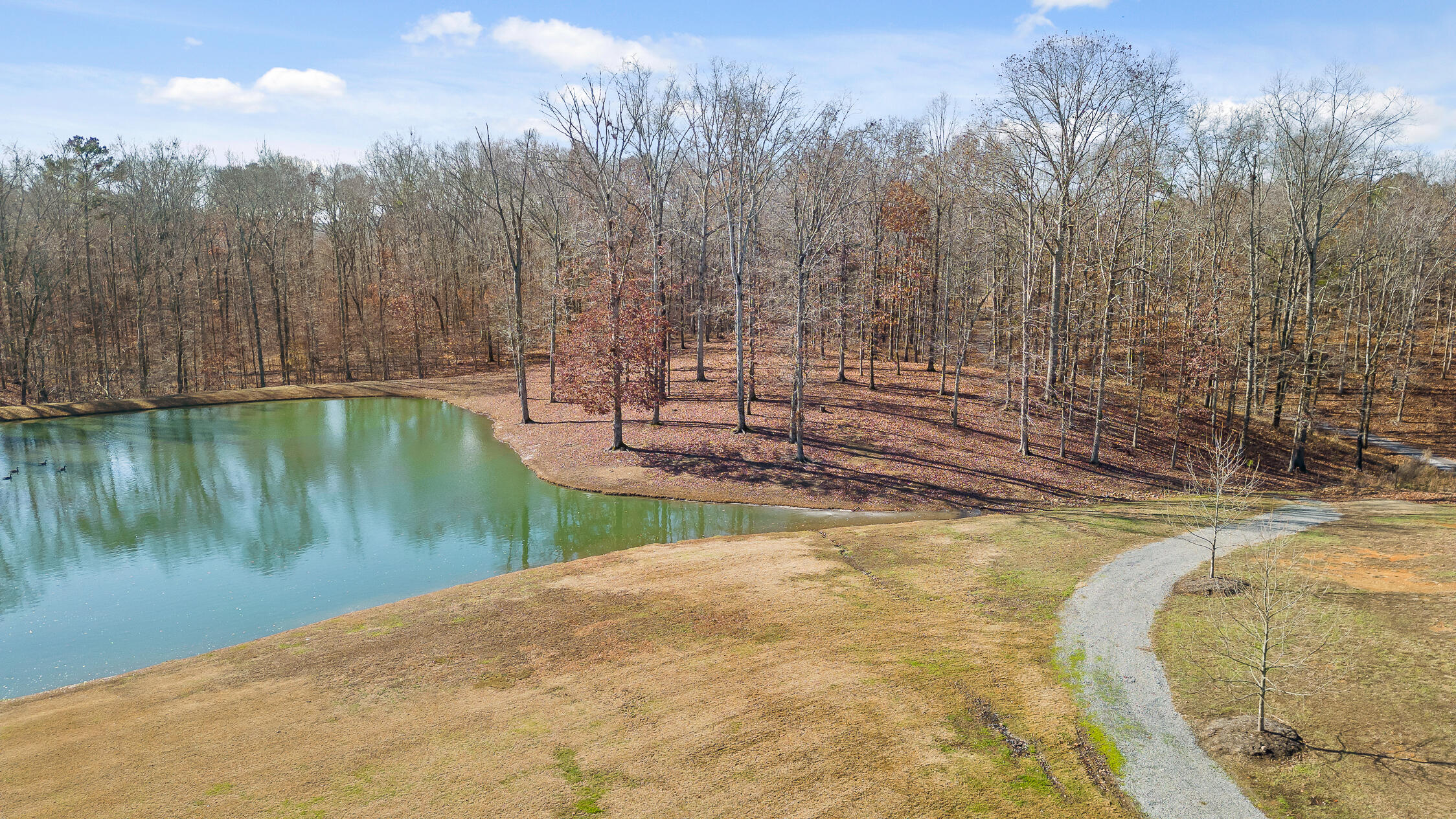 159 Litchfield Lane Cleveland, TN 37312 - Photo 14 of 40 Litchfield-14