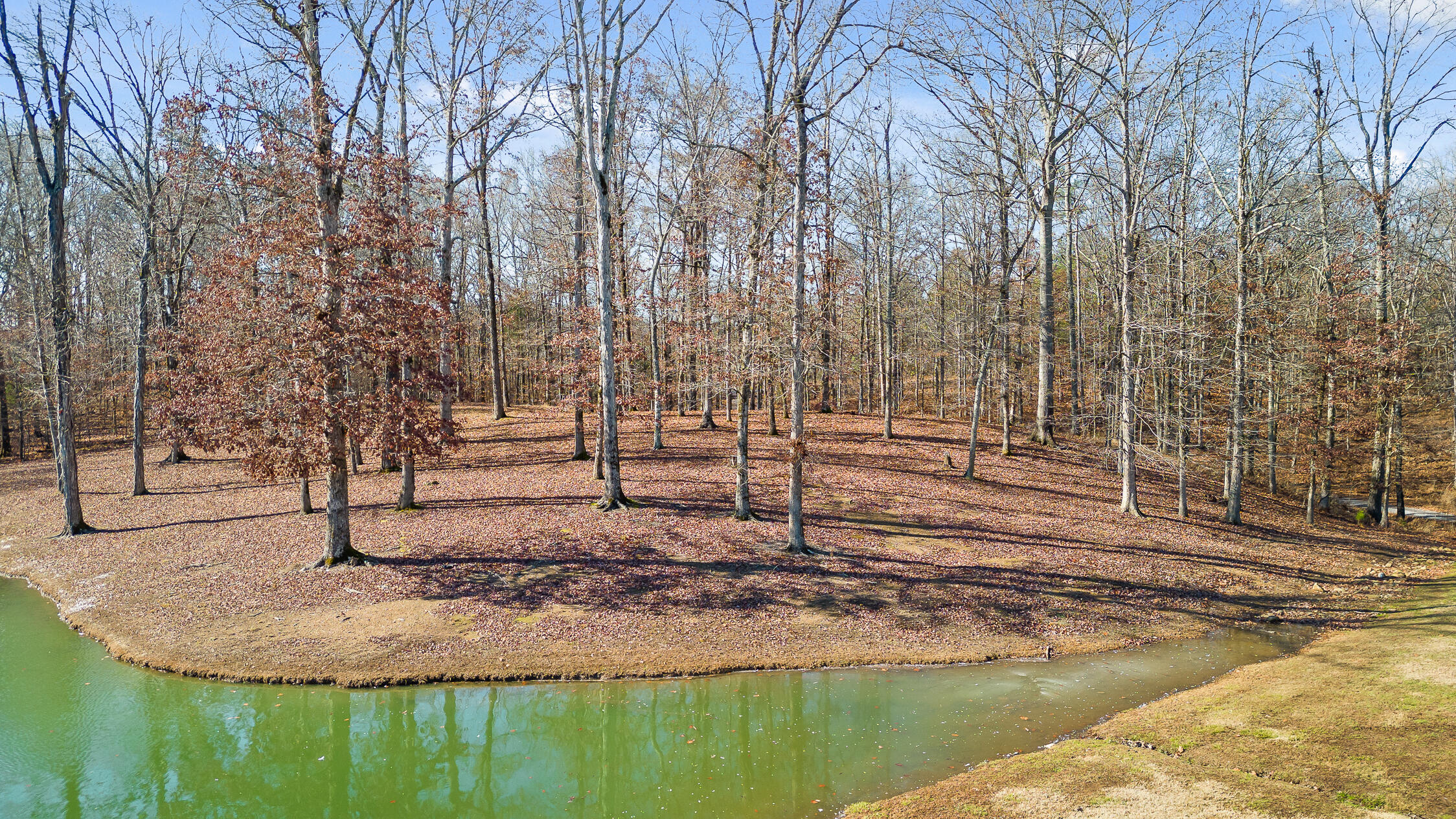159 Litchfield Lane Cleveland, TN 37312 - Photo 15 of 40 Litchfield-15
