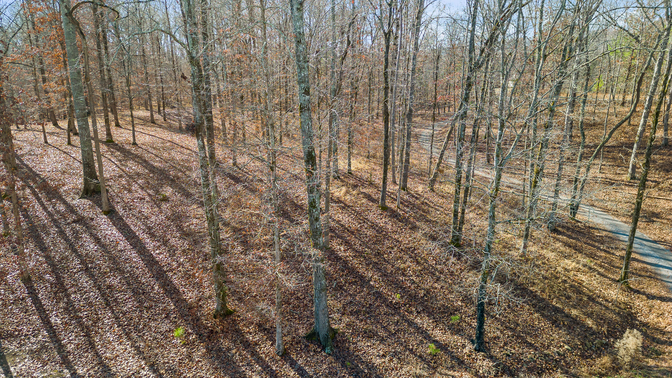 159 Litchfield Lane Cleveland, TN 37312 - Photo 17 of 40 Litchfield-17