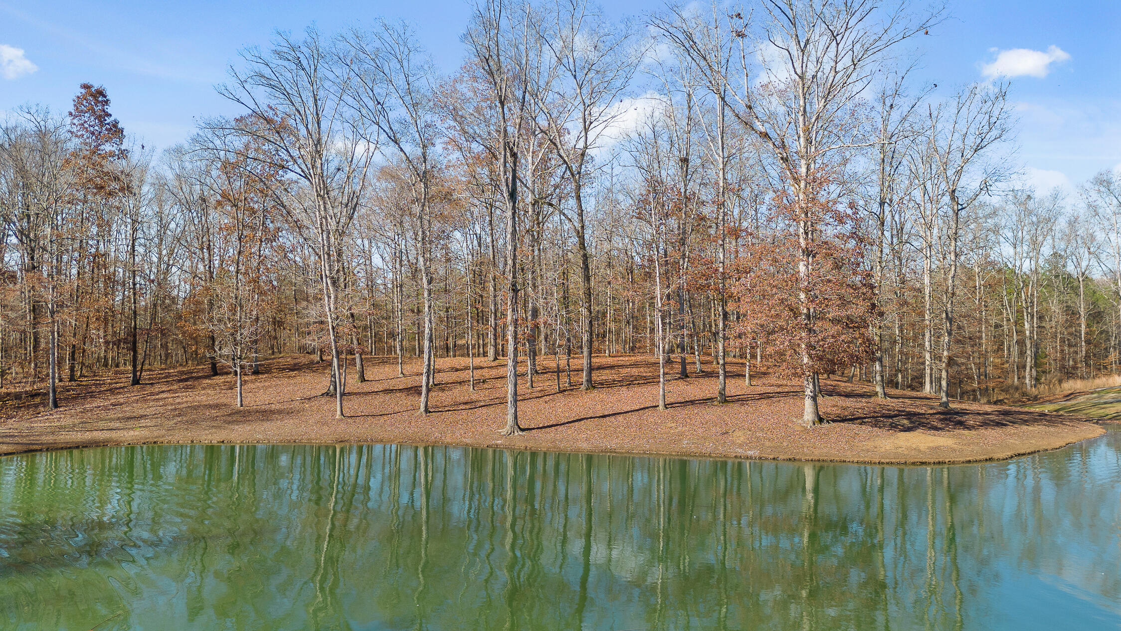 159 Litchfield Lane Cleveland, TN 37312 - Photo 2 of 40 Litchfield-2