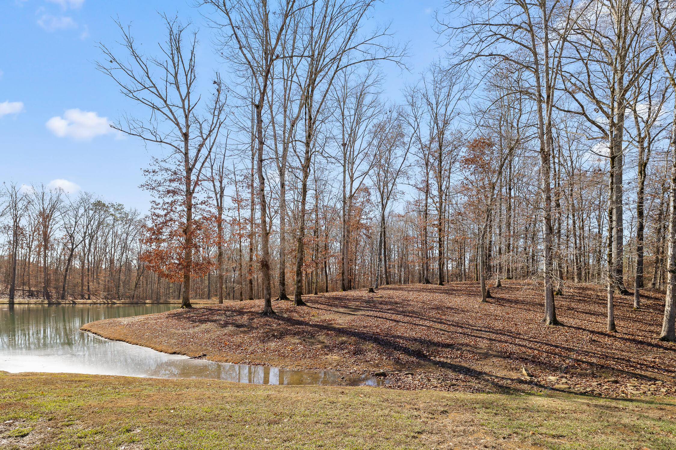 159 Litchfield Lane Cleveland, TN 37312 - Photo 25 of 40 Litchfield-25