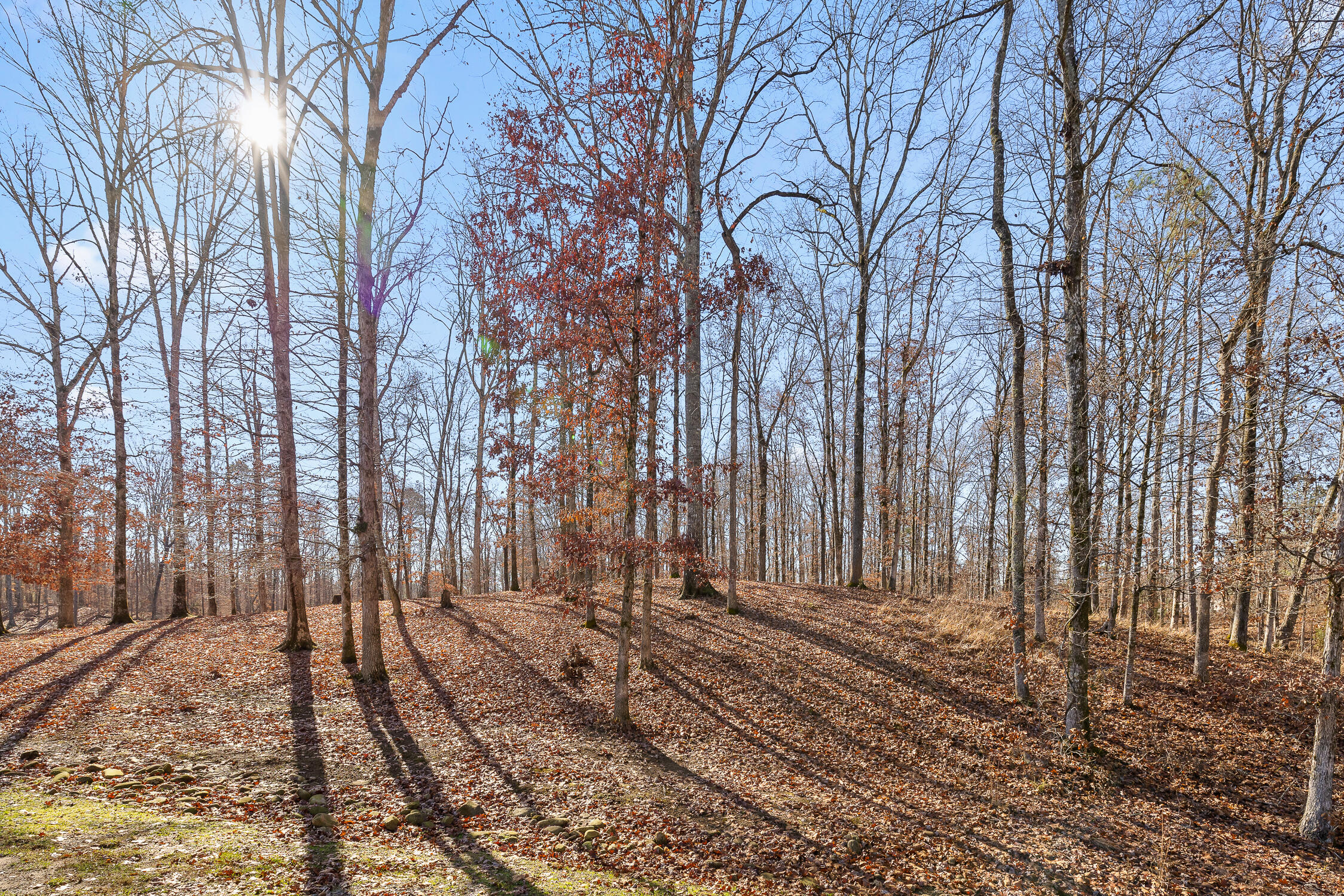 159 Litchfield Lane Cleveland, TN 37312 - Photo 26 of 40 Litchfield-26