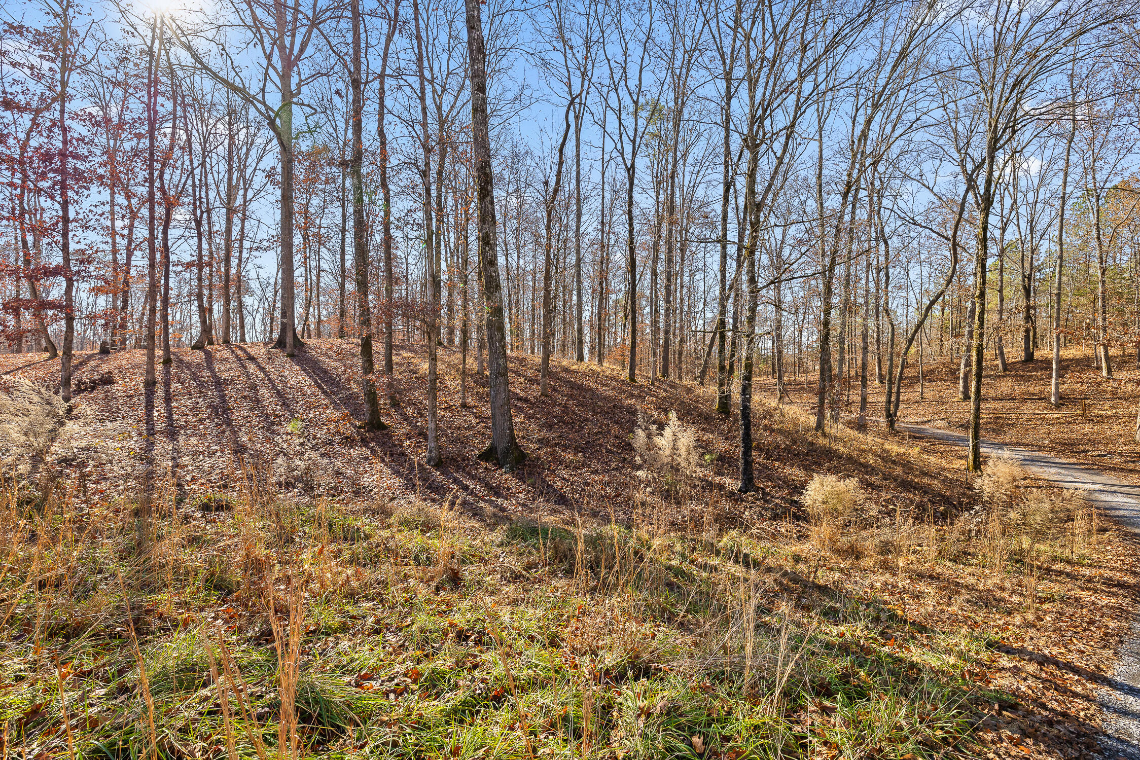 159 Litchfield Lane Cleveland, TN 37312 - Photo 27 of 40 Litchfield-27