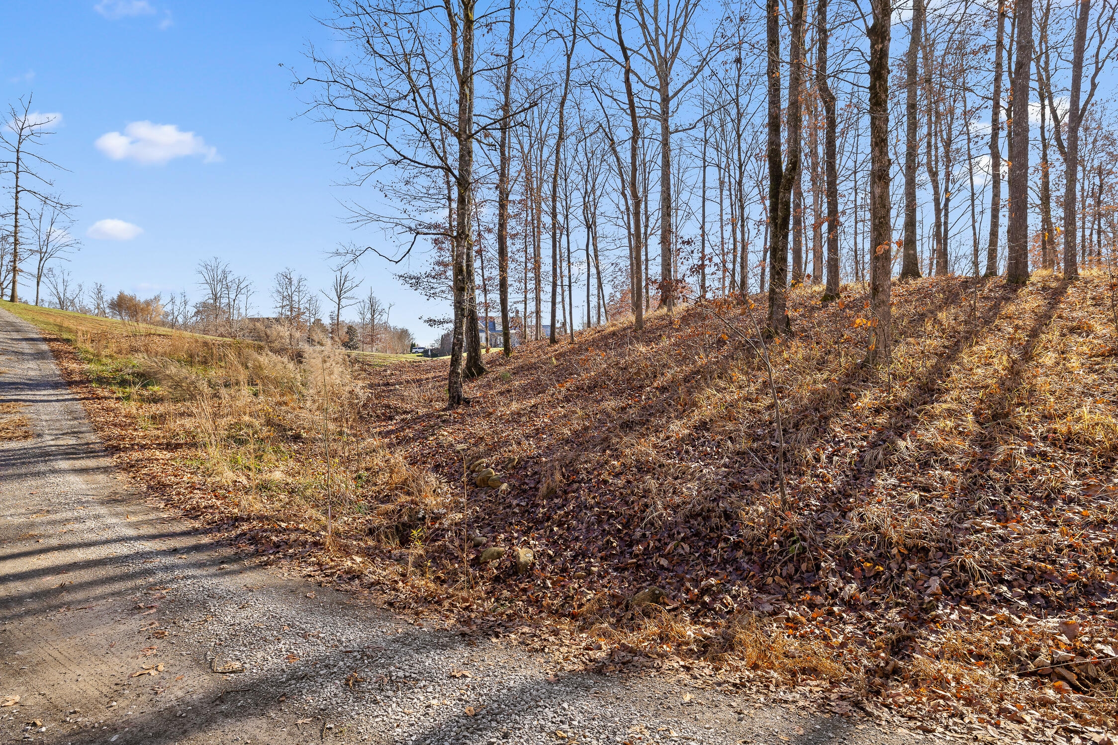 159 Litchfield Lane Cleveland, TN 37312 - Photo 28 of 40 Litchfield-28