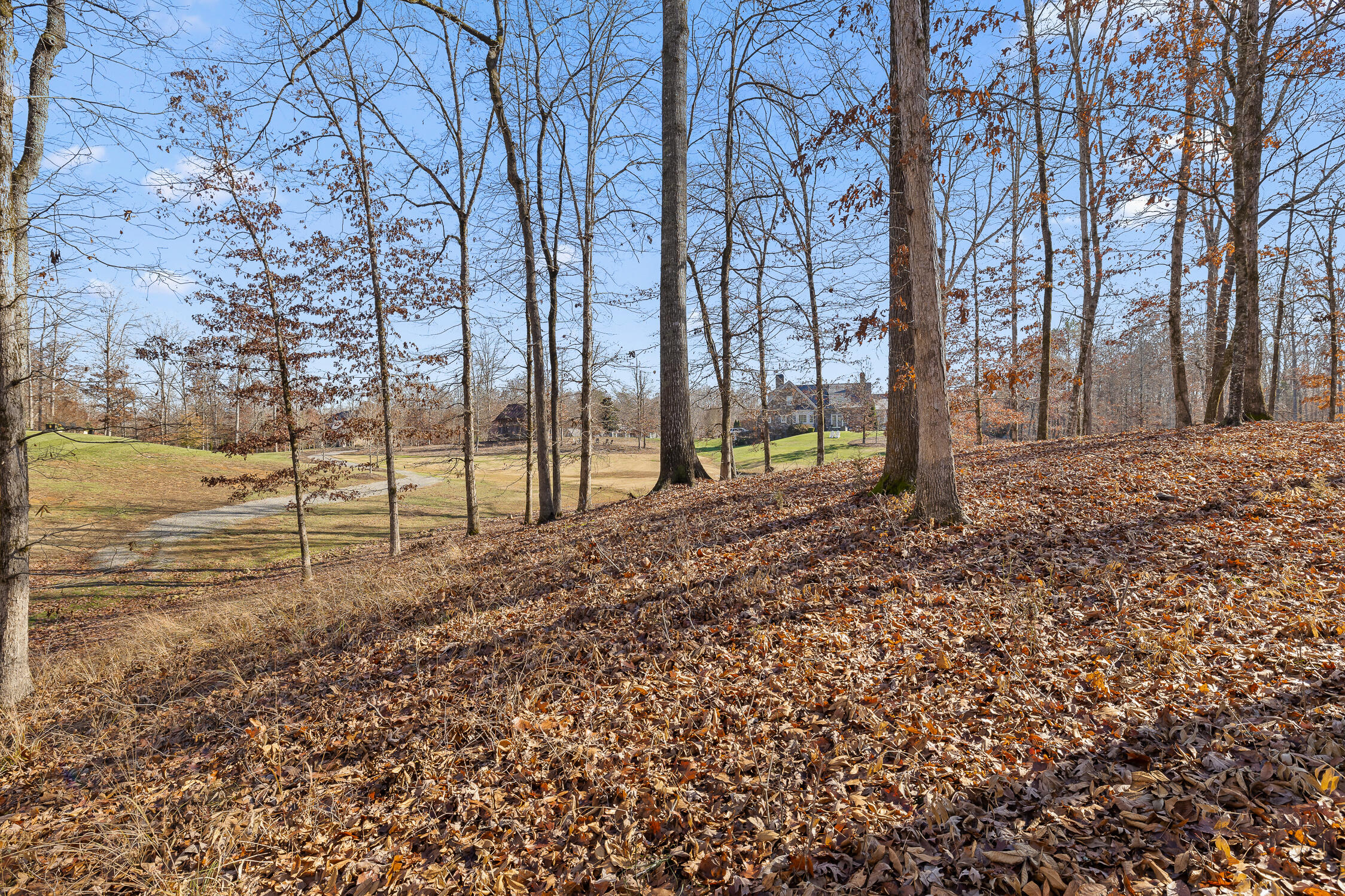 159 Litchfield Lane Cleveland, TN 37312 - Photo 29 of 40 Litchfield-29