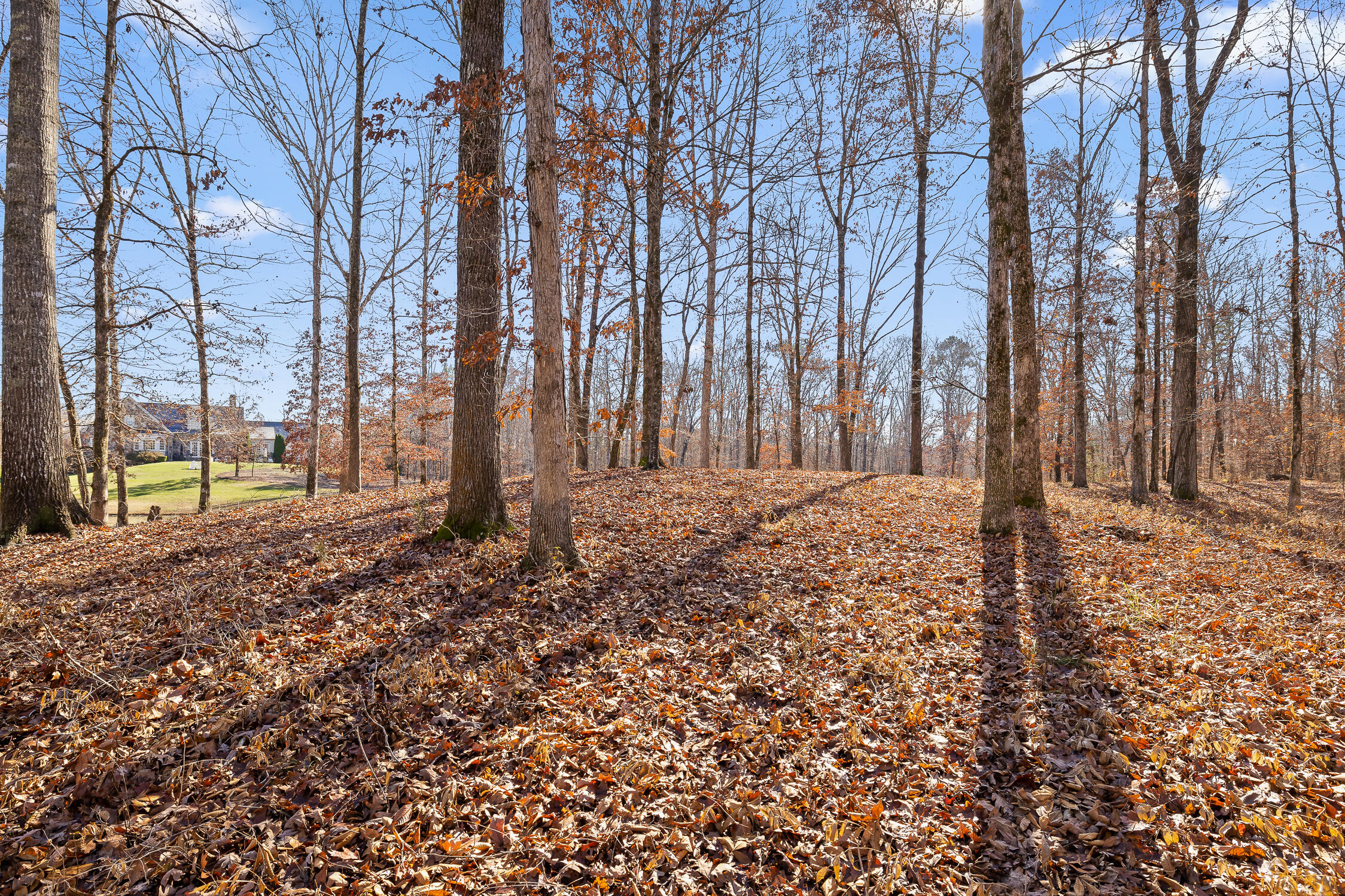 159 Litchfield Lane Cleveland, TN 37312 - Photo 30 of 40 Litchfield-30