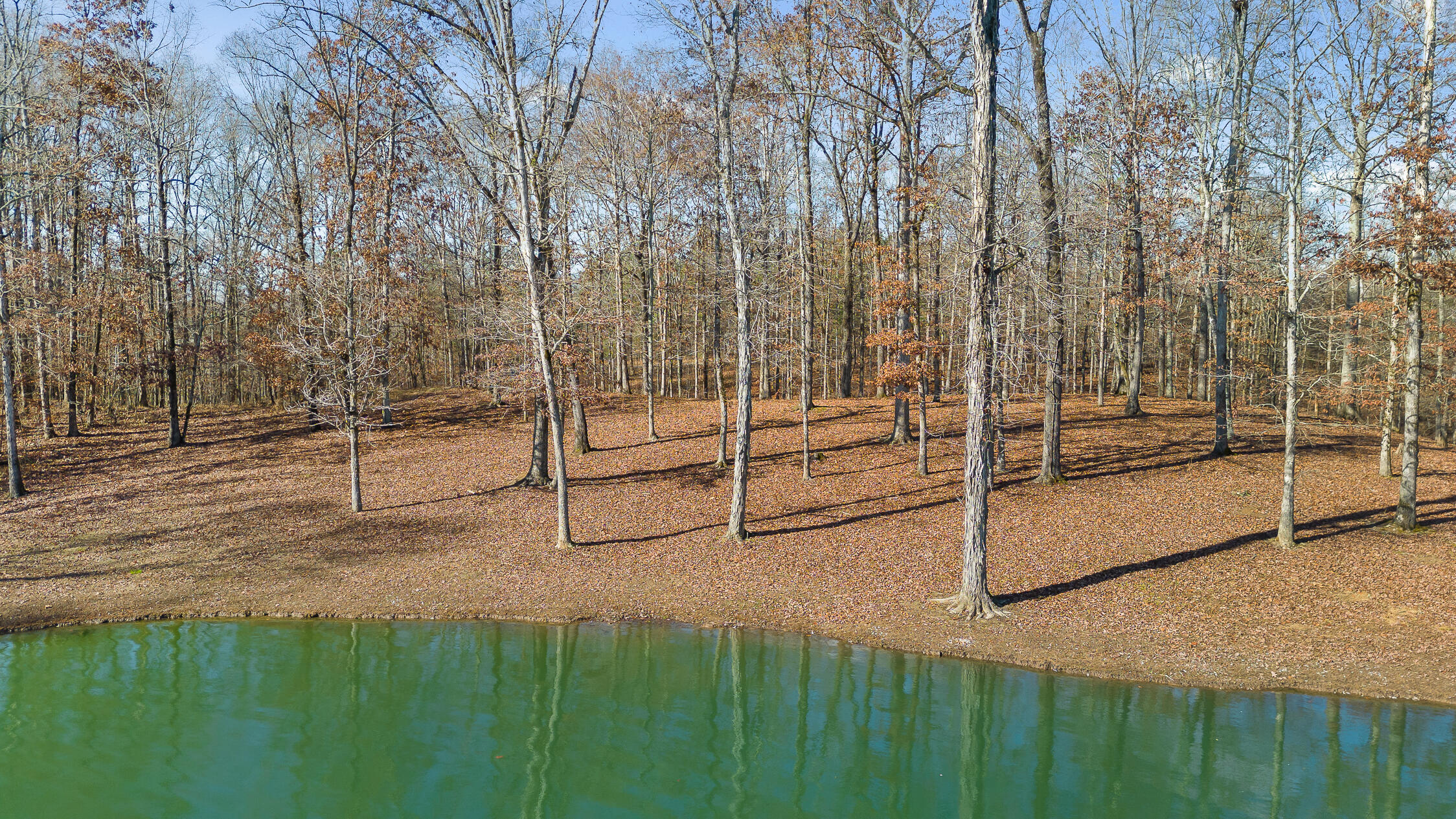 159 Litchfield Lane Cleveland, TN 37312 - Photo 3 of 40 Litchfield-3