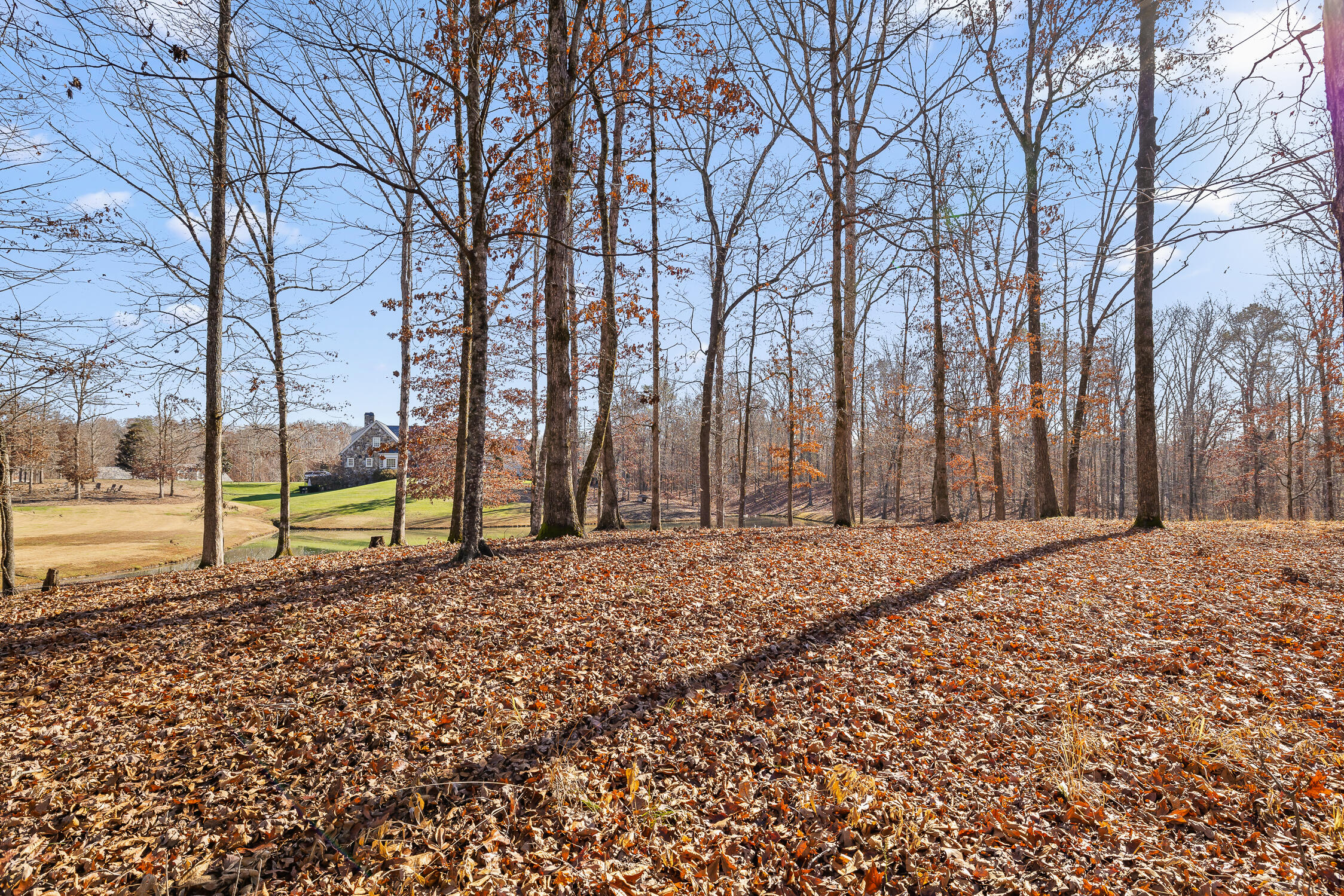 159 Litchfield Lane Cleveland, TN 37312 - Photo 31 of 40 Litchfield-31