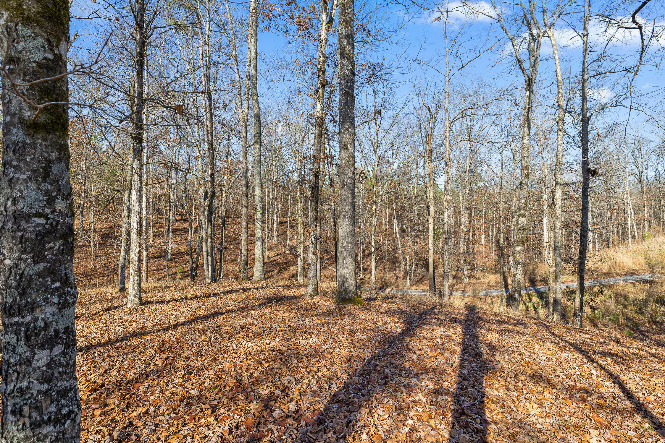 159 Litchfield Lane Cleveland, TN 37312 - Photo 32 of 40 Litchfield-32
