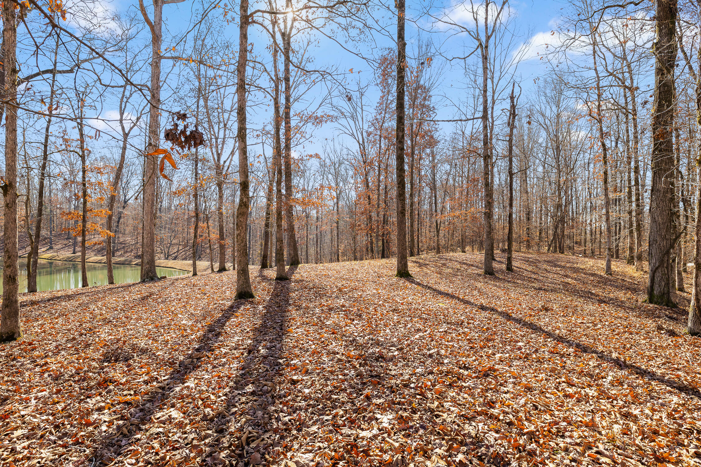 159 Litchfield Lane Cleveland, TN 37312 - Photo 33 of 40 Litchfield-33