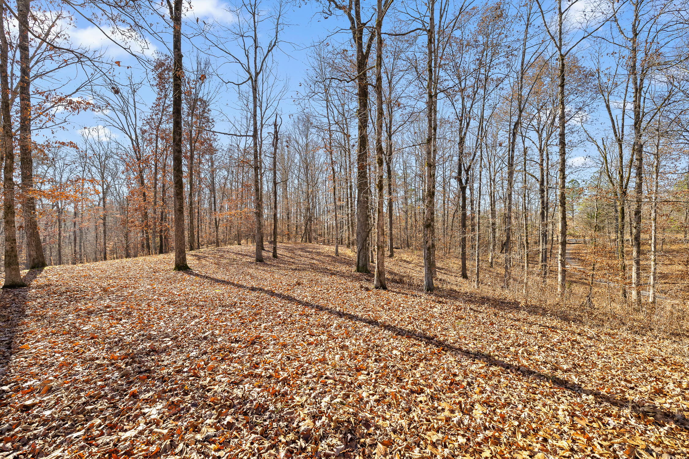 159 Litchfield Lane Cleveland, TN 37312 - Photo 34 of 40 Litchfield-34