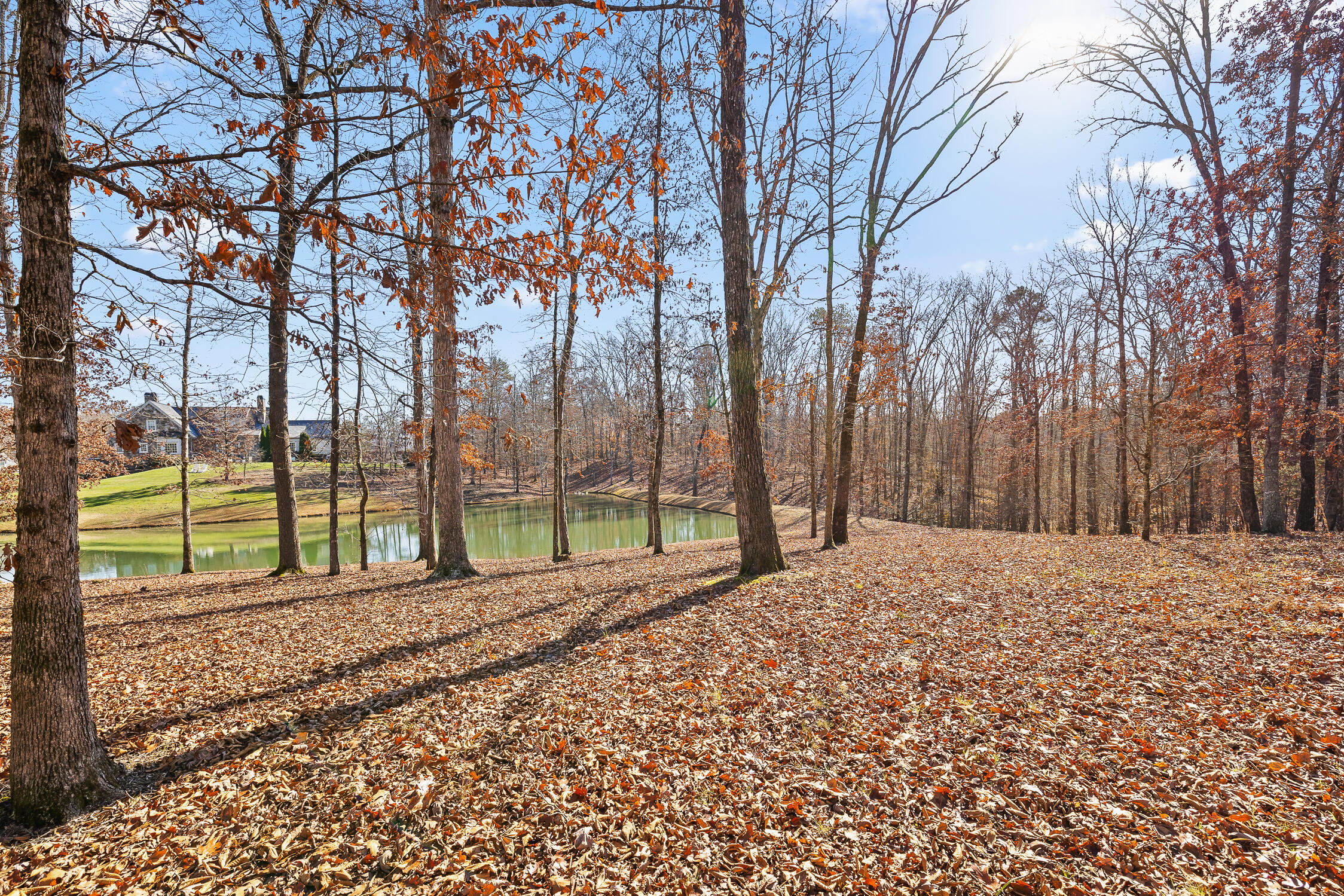 159 Litchfield Lane Cleveland, TN 37312 - Photo 35 of 40 Litchfield-35