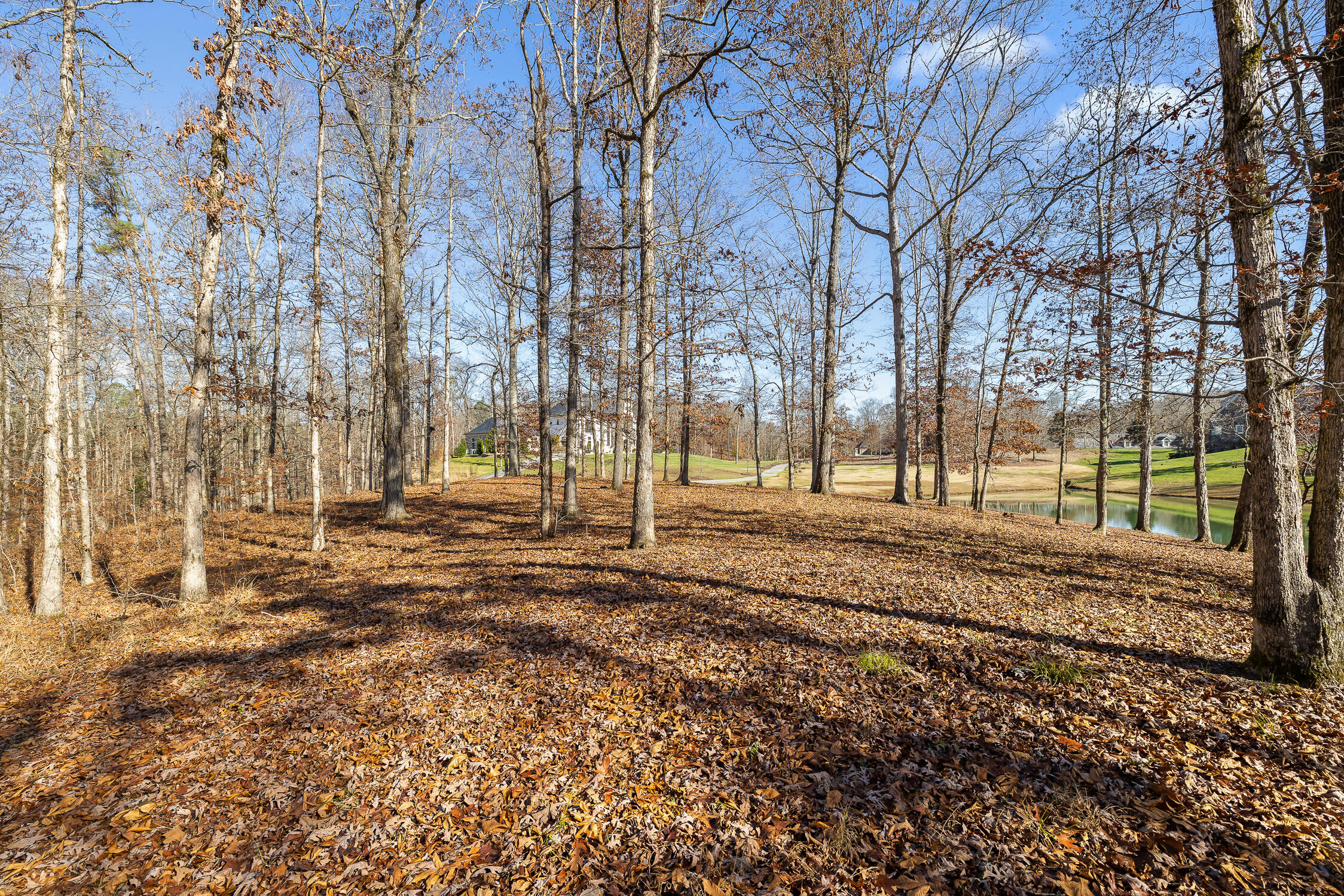 159 Litchfield Lane Cleveland, TN 37312 - Photo 37 of 40 Litchfield-37