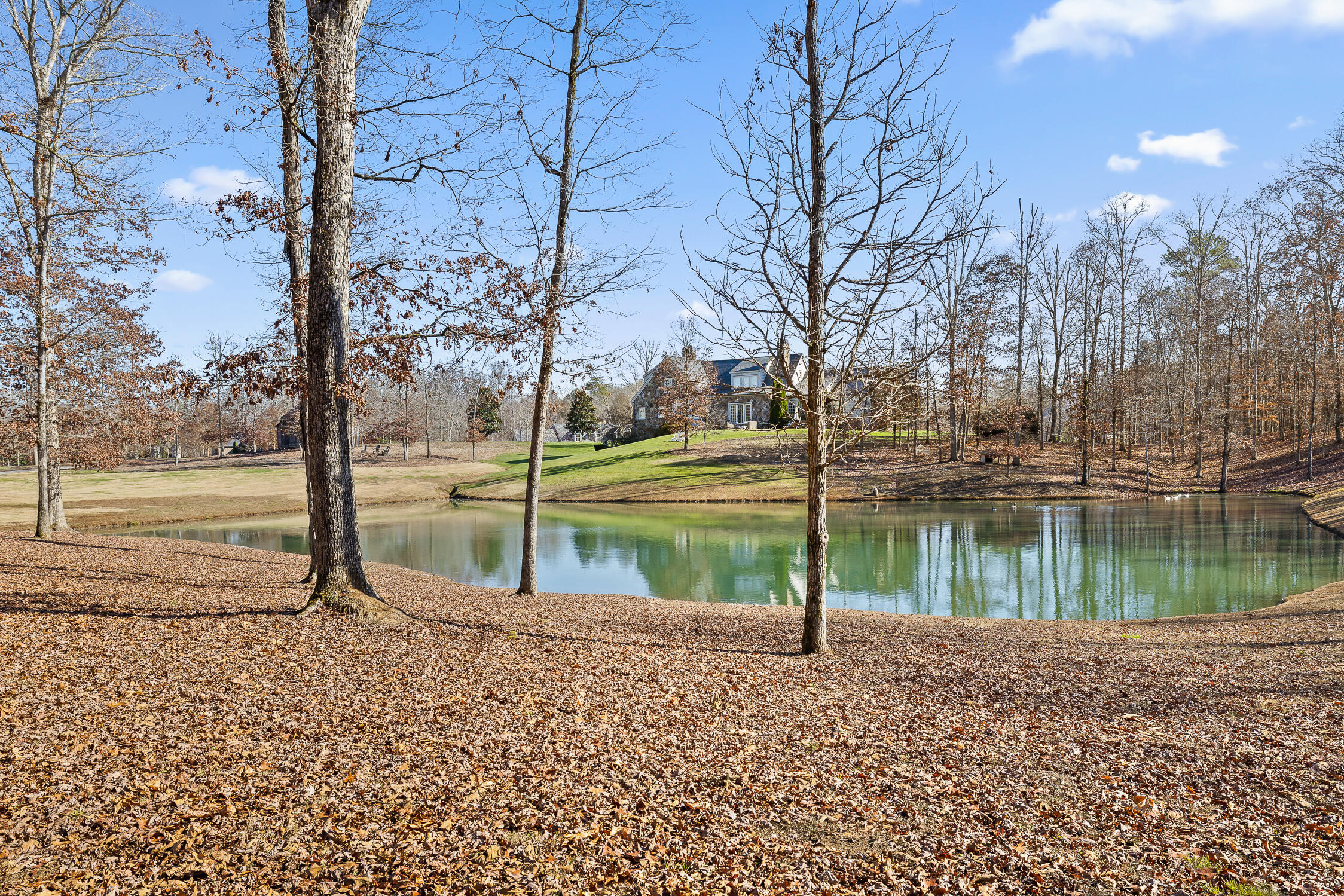 159 Litchfield Lane Cleveland, TN 37312 - Photo 38 of 40 Litchfield-38