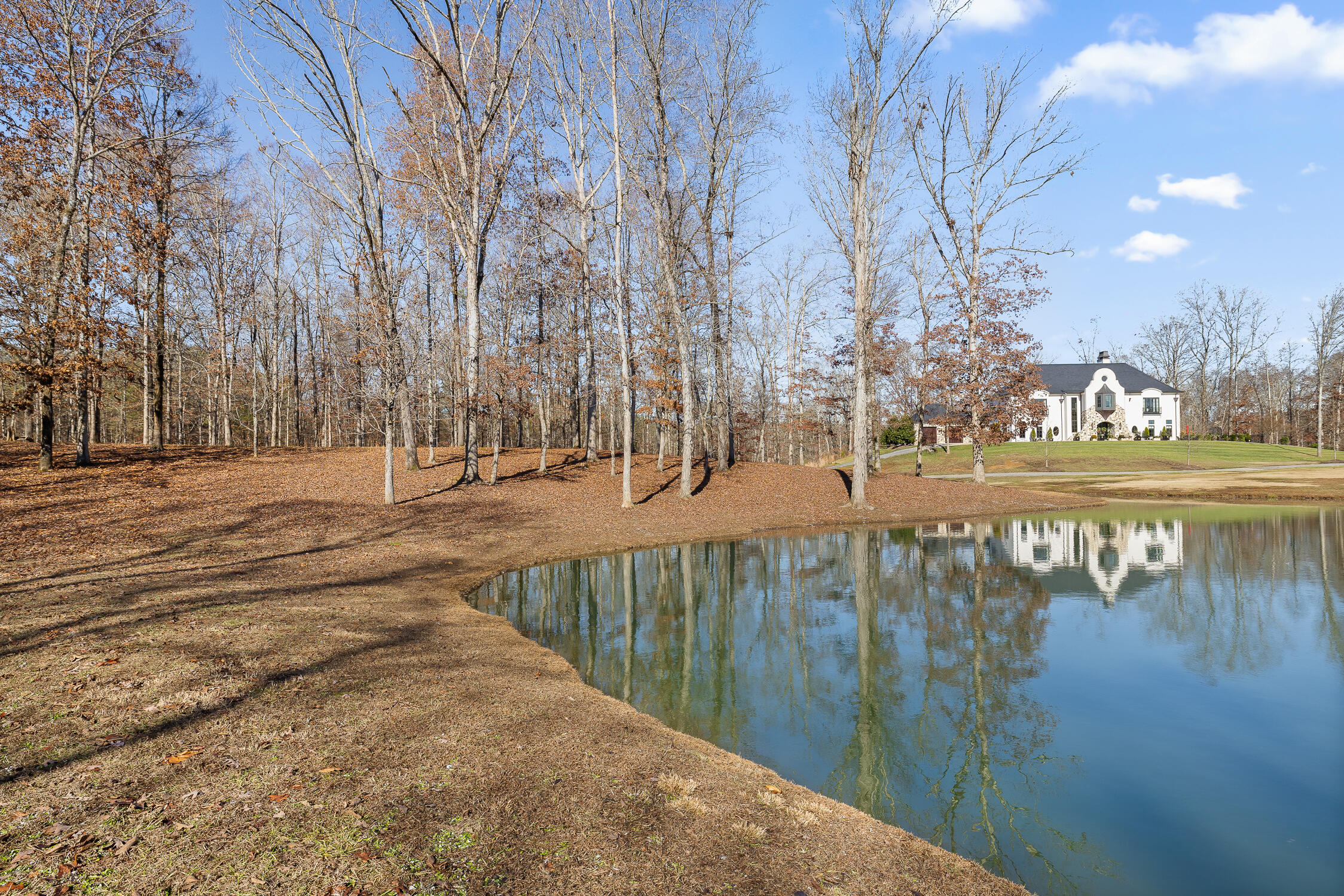 159 Litchfield Lane Cleveland, TN 37312 - Photo 39 of 40 Litchfield-39