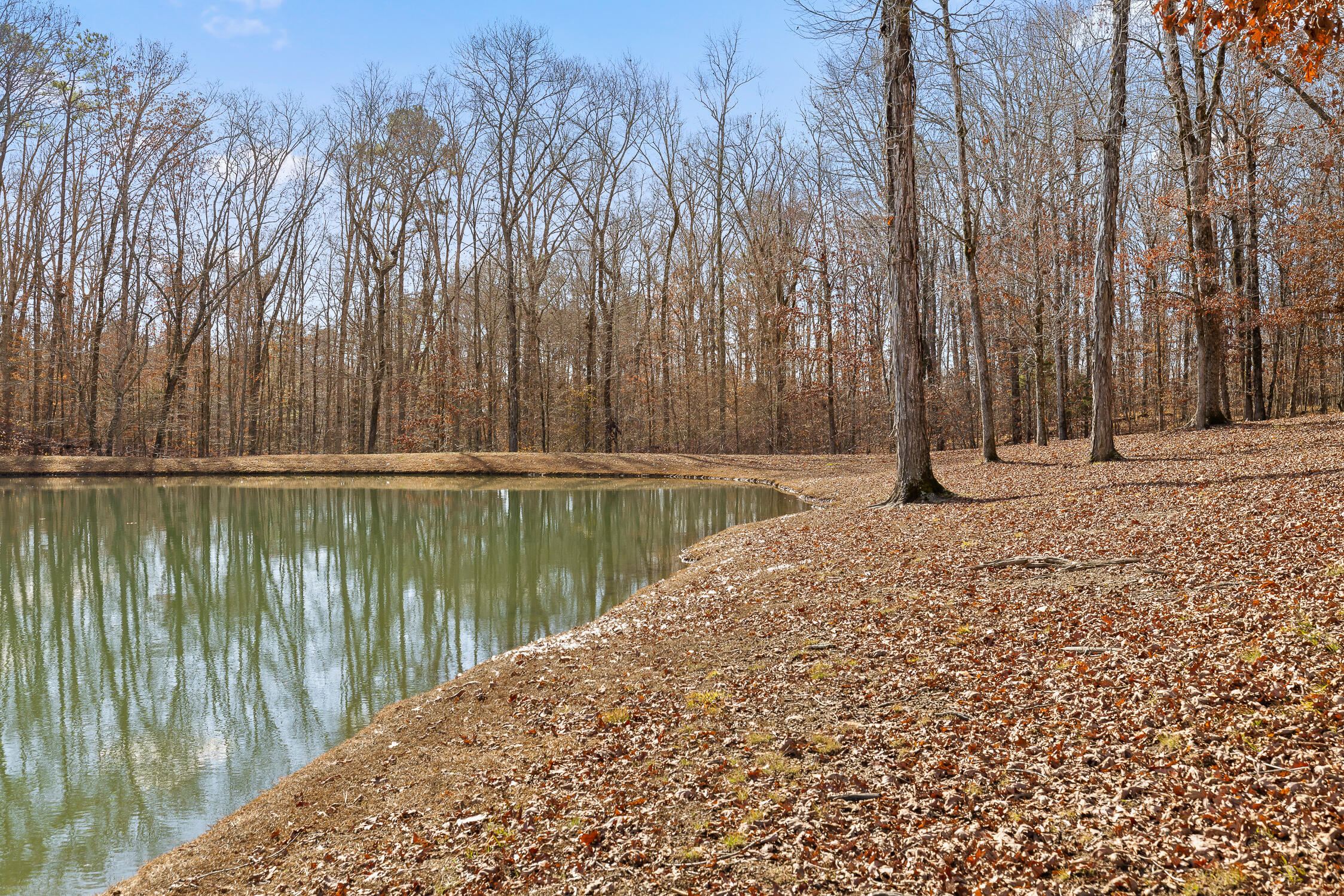 159 Litchfield Lane Cleveland, TN 37312 - Photo 40 of 40 Litchfield-40