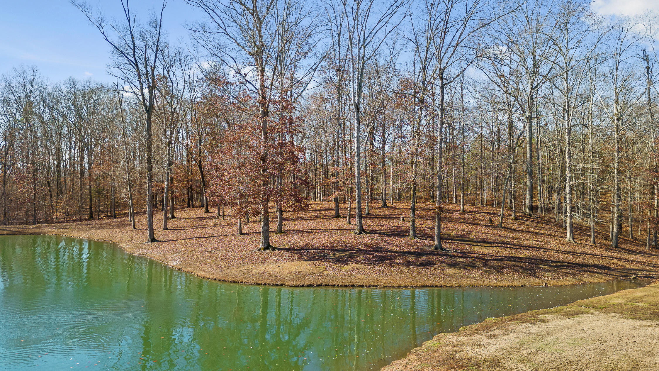 159 Litchfield Lane Cleveland, TN 37312 - Photo 4 of 40 Litchfield-4