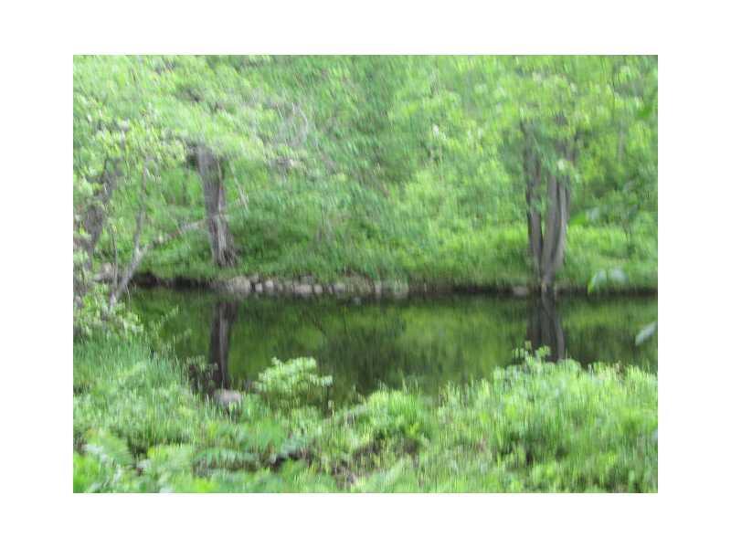 2293 Hudson Road Hudson, ME 04449 - Photo 12 of 18 Land/Lot.