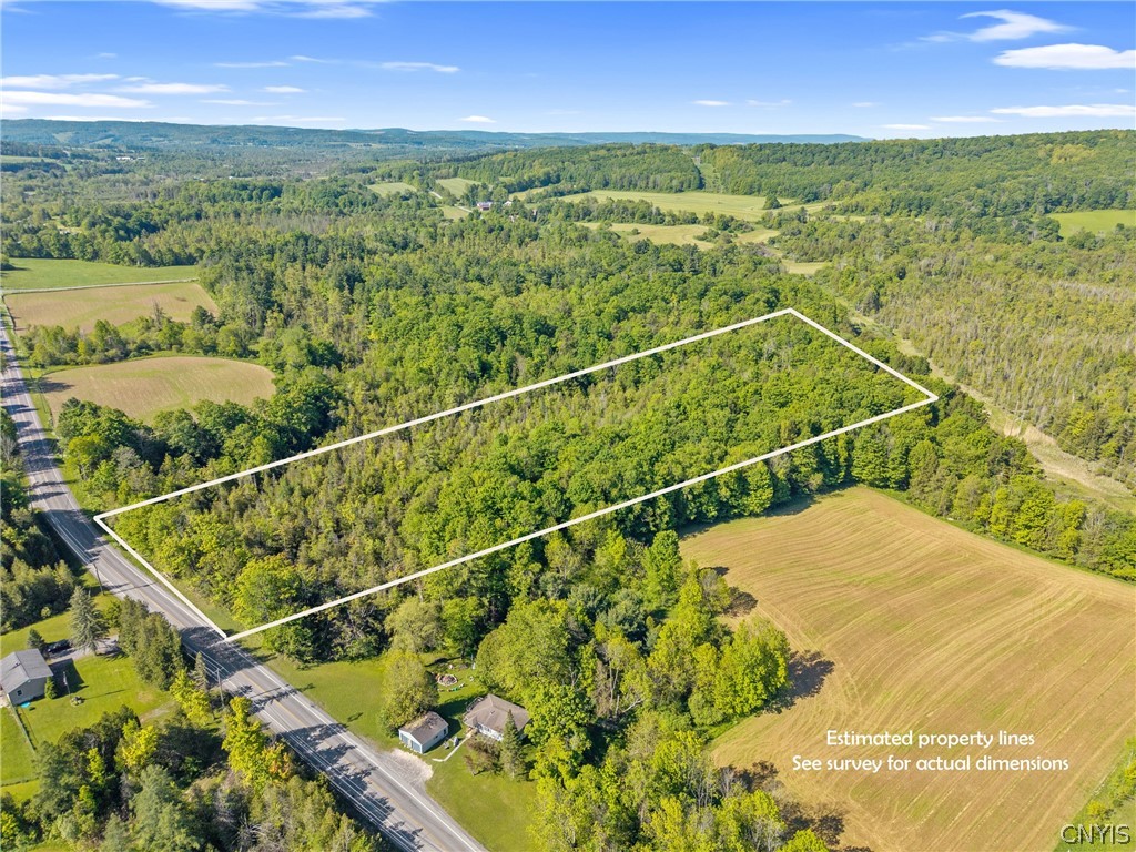 Nelson Road Cazenovia, NY 13035 - Photo 12 of 15