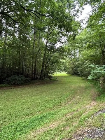 a view of outdoor space with deck and yard