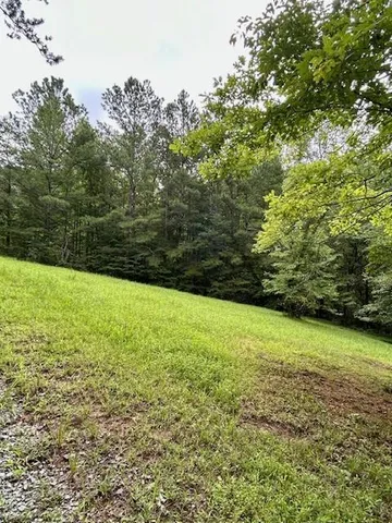 a view of a yard with a trees
