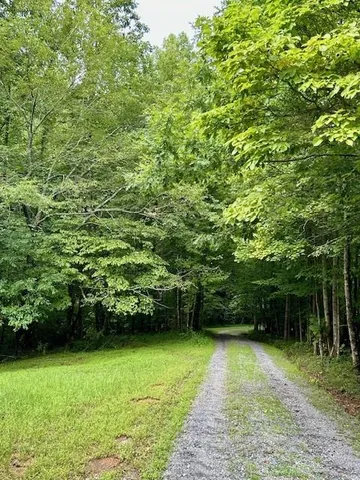 a view of a backyard with a garden