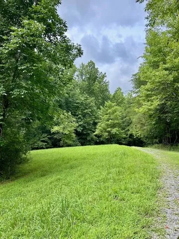 a view of garden with trees