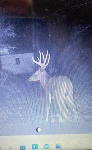 a view of wooden floor