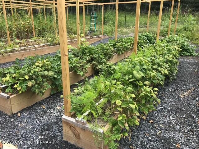1117 Red Fox Road East Stroudsburg, PA 18301 - Photo 56 of 61 56 raised beds
