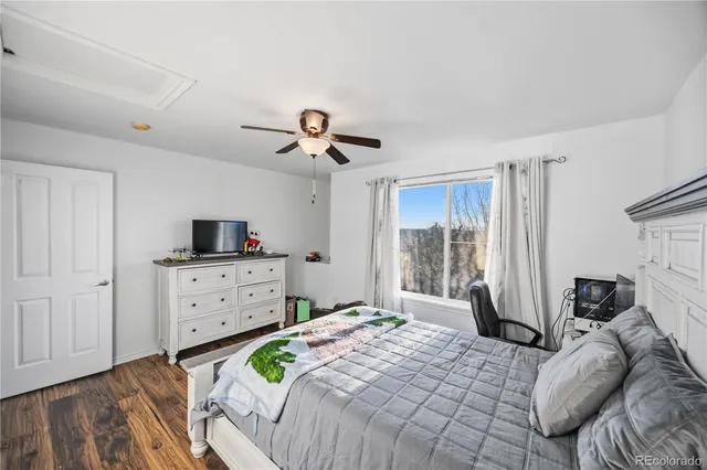 a bedroom with a bed dresser and a walk in closet