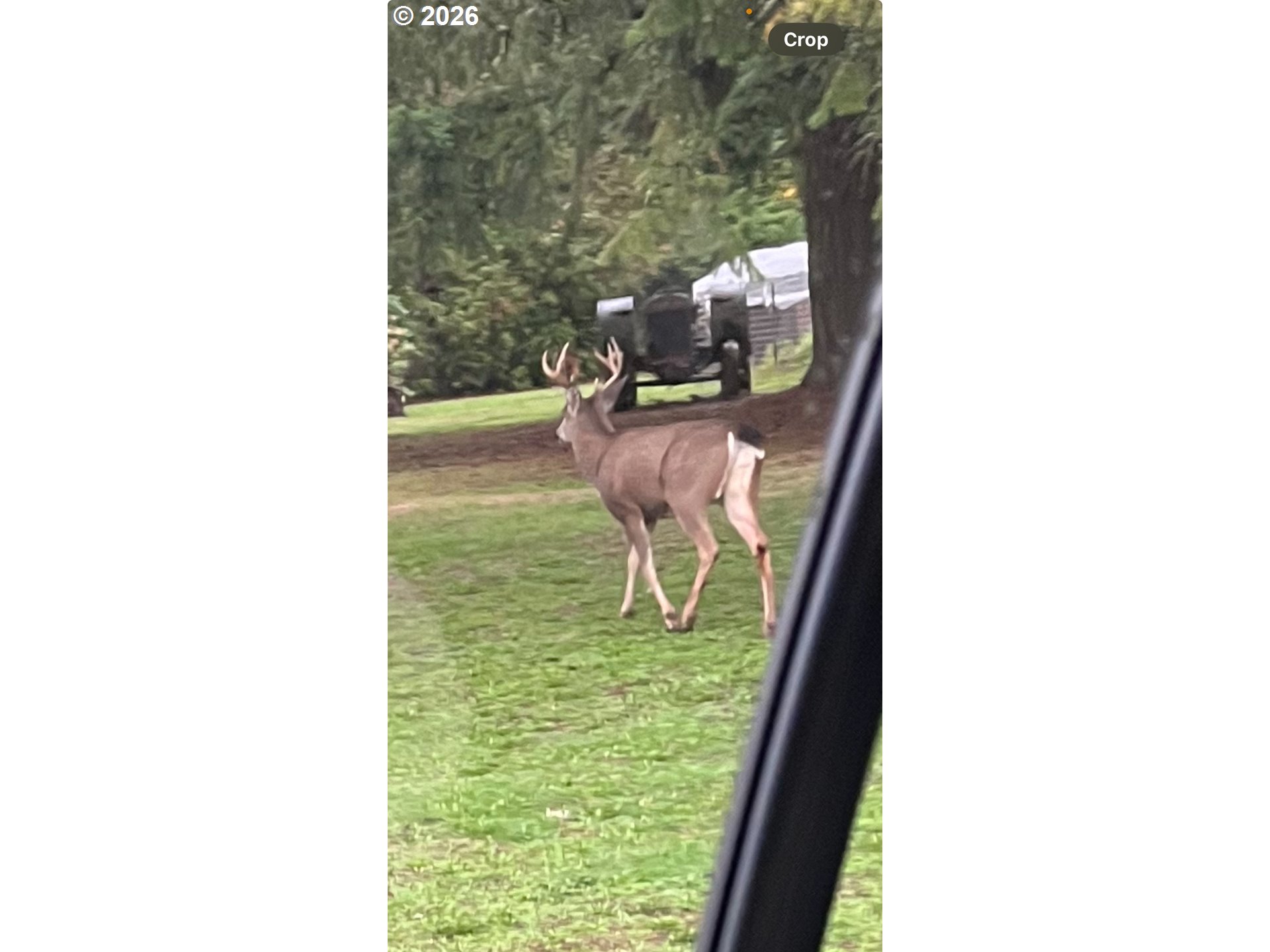 9890 Southwest Grabhorn Road Beaverton, OR 97007 - Photo 46 of 47