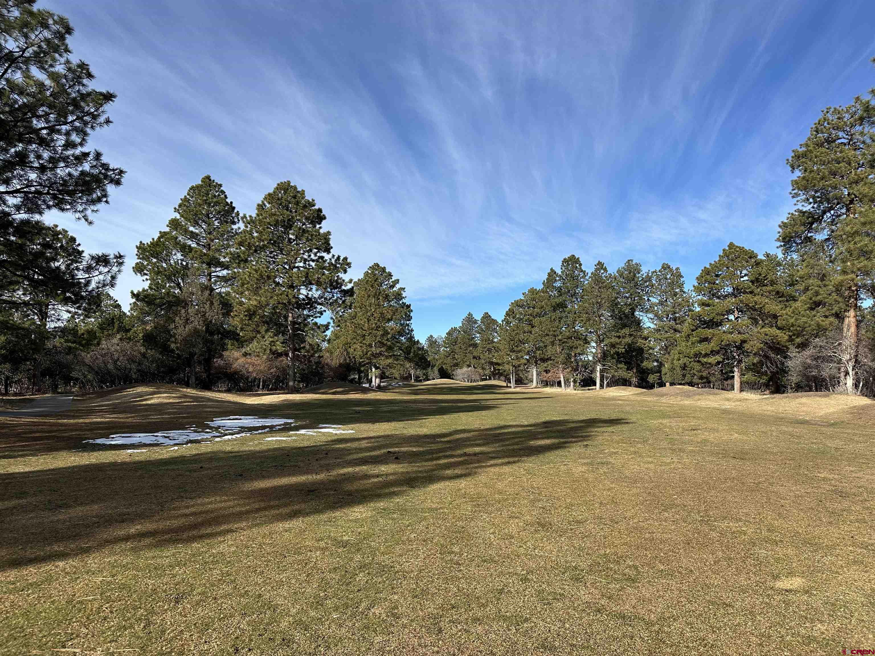 120 Puma Lane Ridgway, CO 81432 - Photo 2 of 9