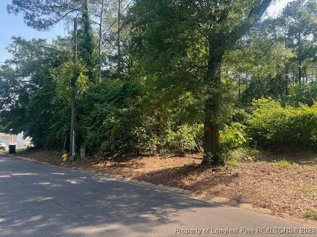 $25,000 | Blake Street, Fayetteville, NC 28301