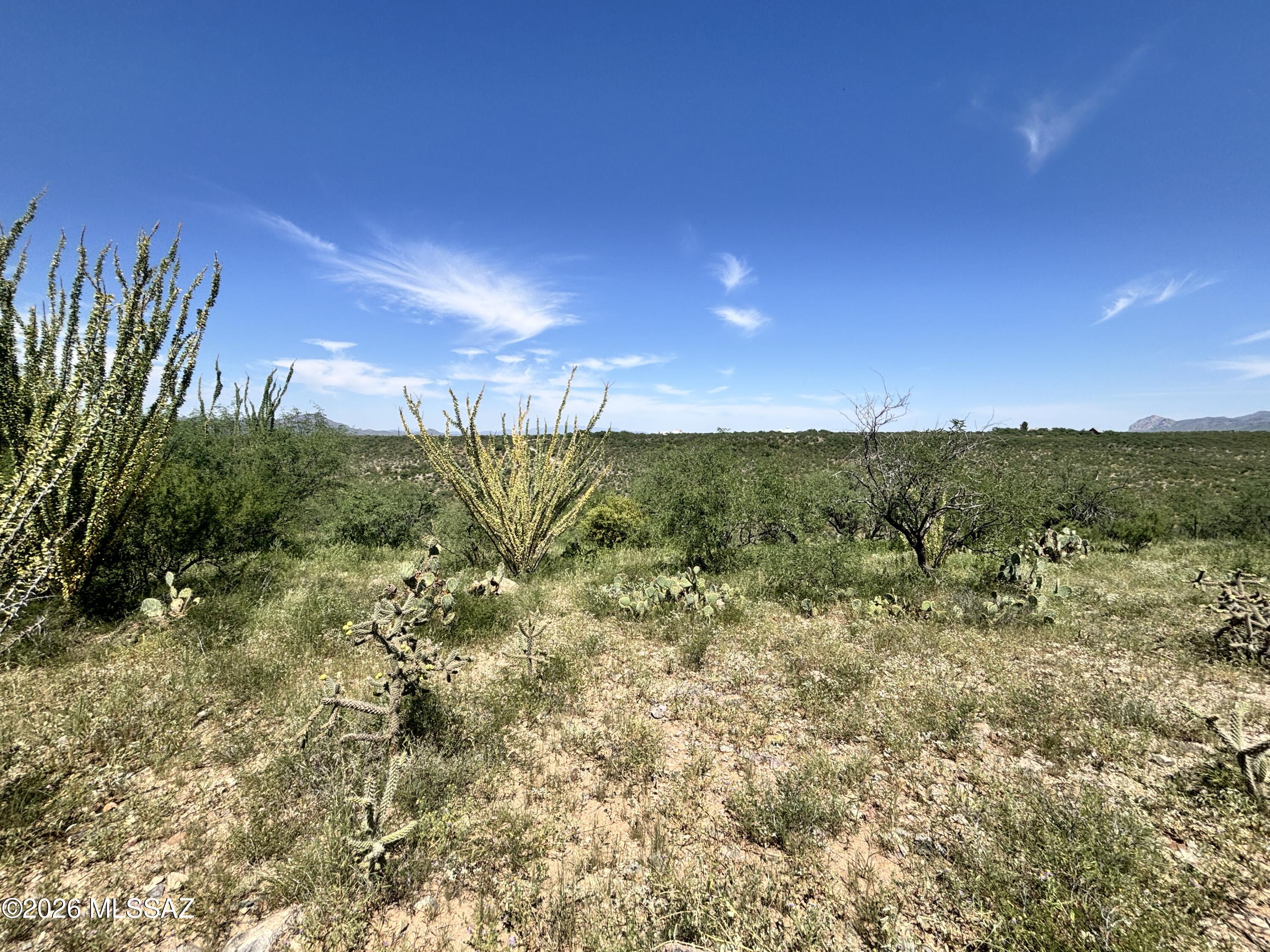 268 Camino Josefina, Unit 29 Rio Rico, AZ 85648 - Photo 1 of 6 1