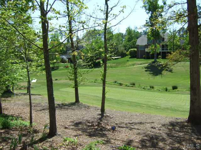 9137 Sanctuary Court Raleigh, NC 27617 - Photo 14 of 17 a view of a park with large trees