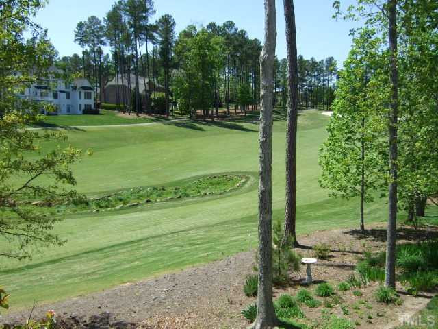 9137 Sanctuary Court Raleigh, NC 27617 - Photo 15 of 17 a view of a park with large trees
