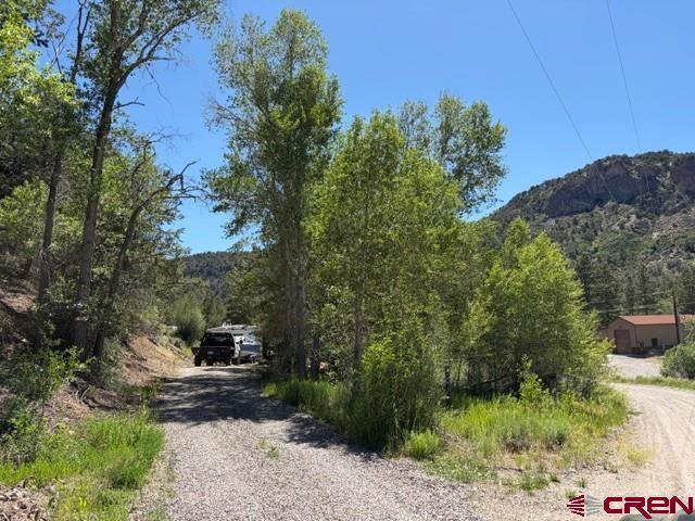 224 Spud Hill Road Montrose, CO 81403 - Photo 3 of 16