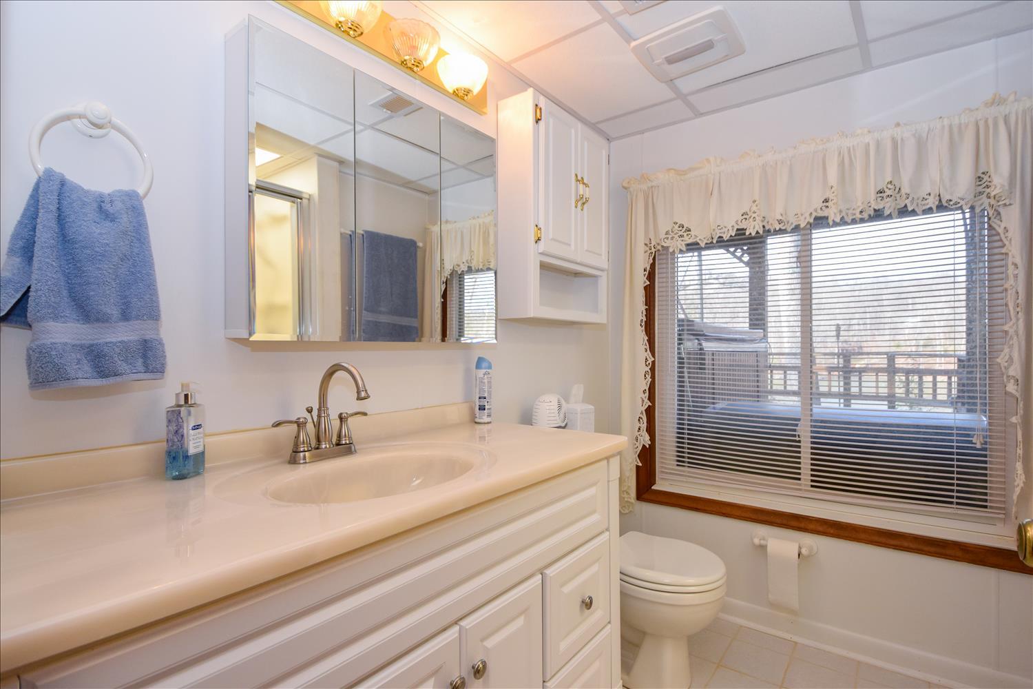 147 Highland Lake Road Union Hall, VA 24176 - Photo 20 of 42 a bathroom with a sink a toilet a mirror and shower
