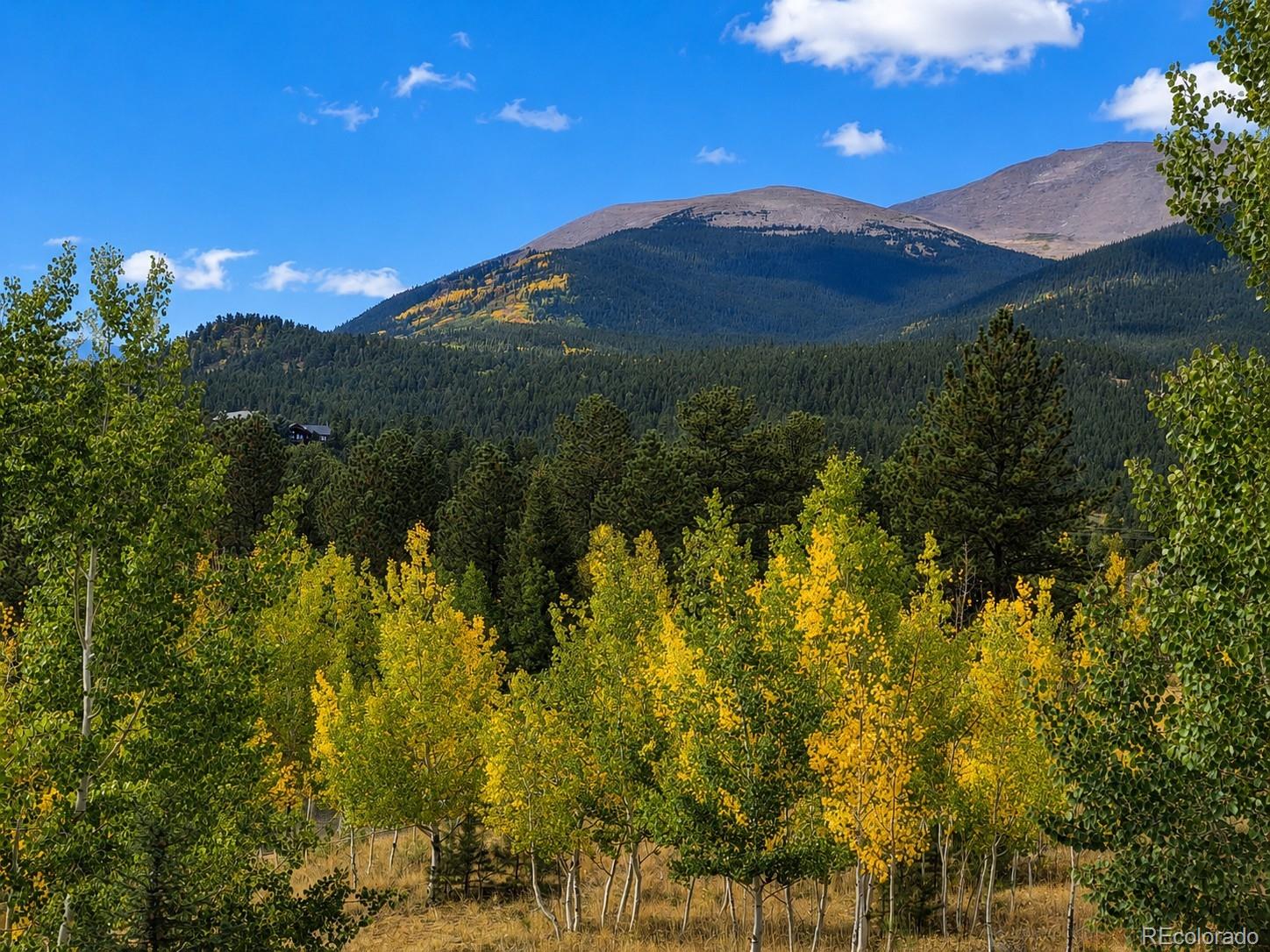 388 Clark Road Bailey, CO 80421 - Photo 45 of 50