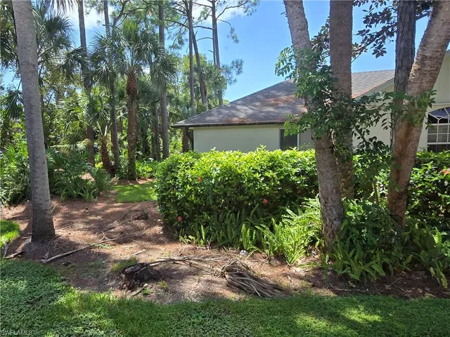 a view of a yard with plants and trees