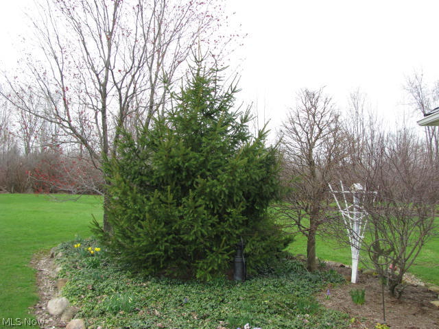 11310 Thwing Road Chardon, OH 44024 - Photo 24 of 24 Gallery Image 24