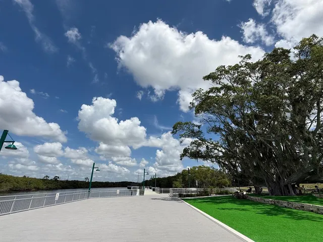 a view of a yard with large trees