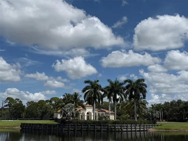 a view of a yard with palm trees