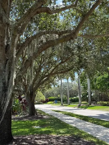a view of a street with houses