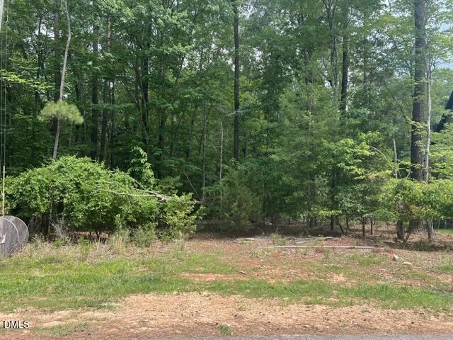190 Buckaroo Drive Spring Hope, NC 27882 - Photo 6 of 6 IMG_7950