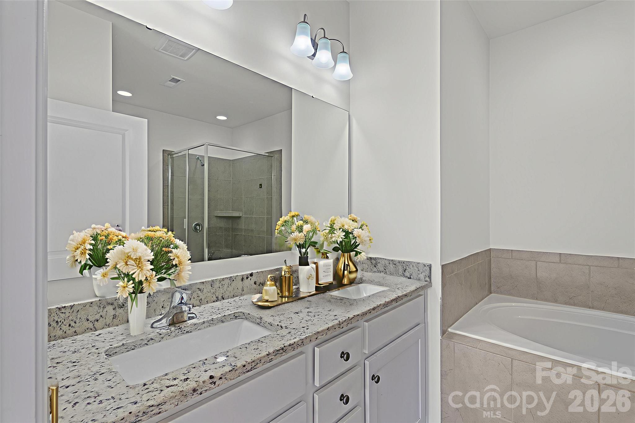 620 Amber Meadows Way Tega Cay, SC 29708 - Photo 15 of 27 a bathroom with a granite countertop sink a large mirror and a bathtub